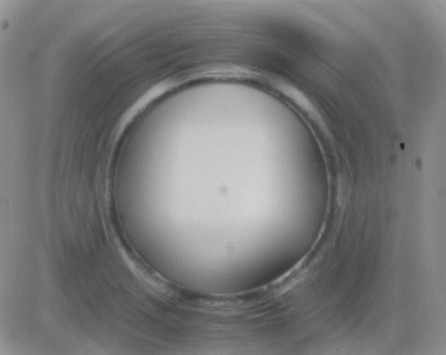 X0000083061229200702232013