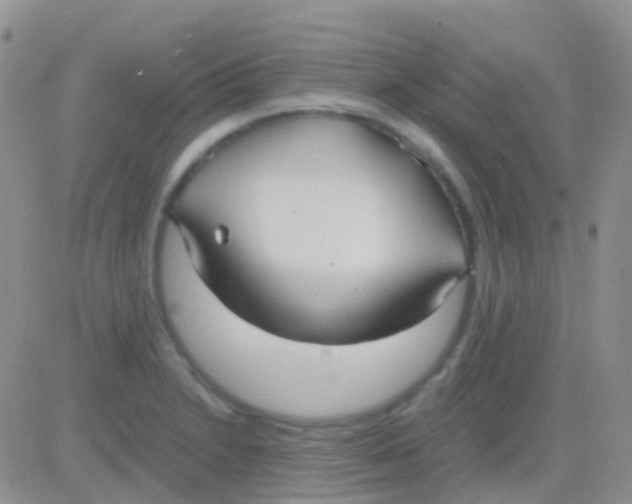 X0000083061230200702232013