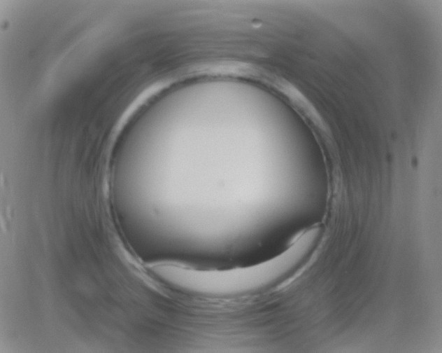 X0000083061232200702232013