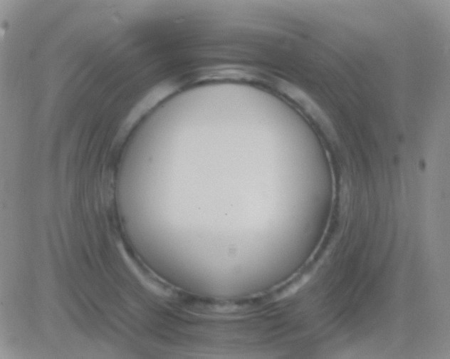 X0000083061233200702232013