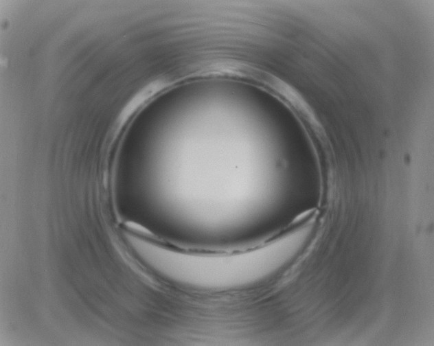 X0000083061234200702232013