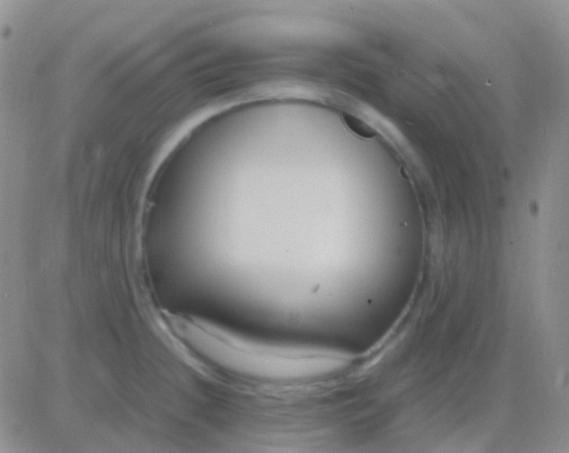 X0000083061236200702232013