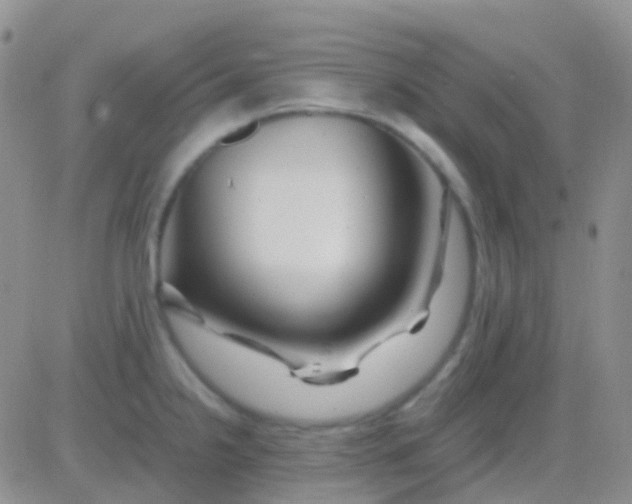 X0000083061238200702232013