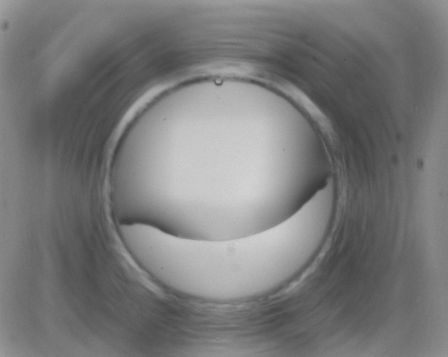 X0000083061240200702232013