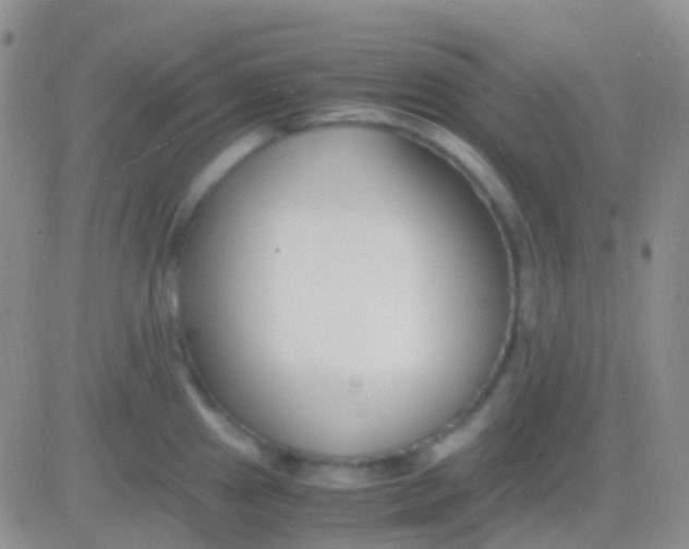 X0000083061241200702232013