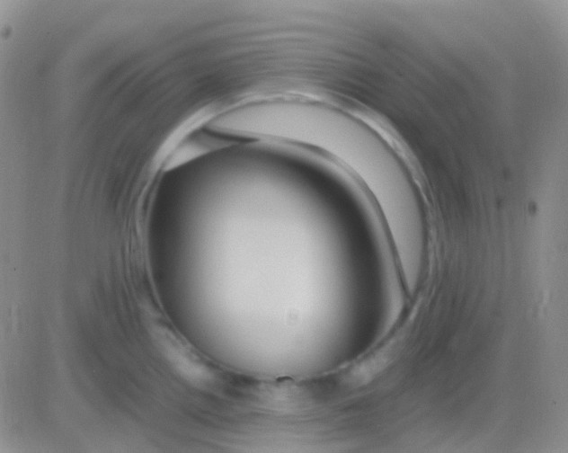 X0000083061242200702232013