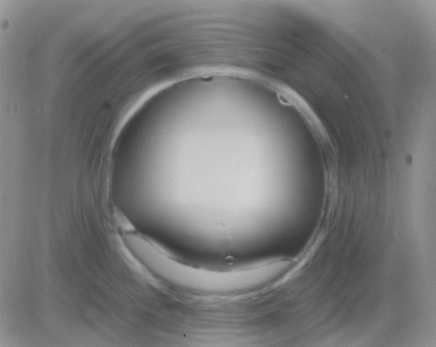 X0000083061244200702232013