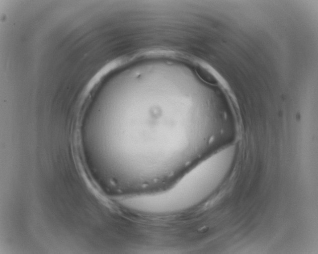 X0000083061245200702232013