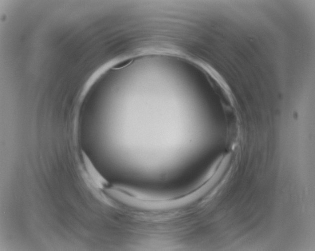 X0000083061246200702232013