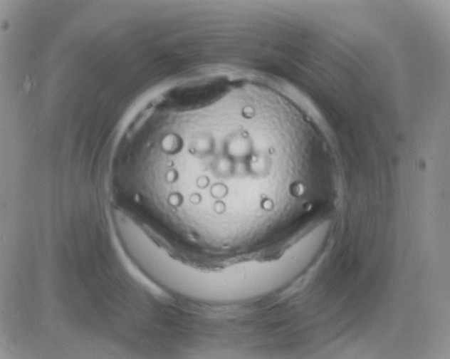 X0000083061247200702232013