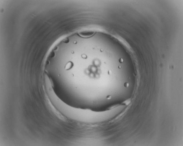 X0000083061248200702232013