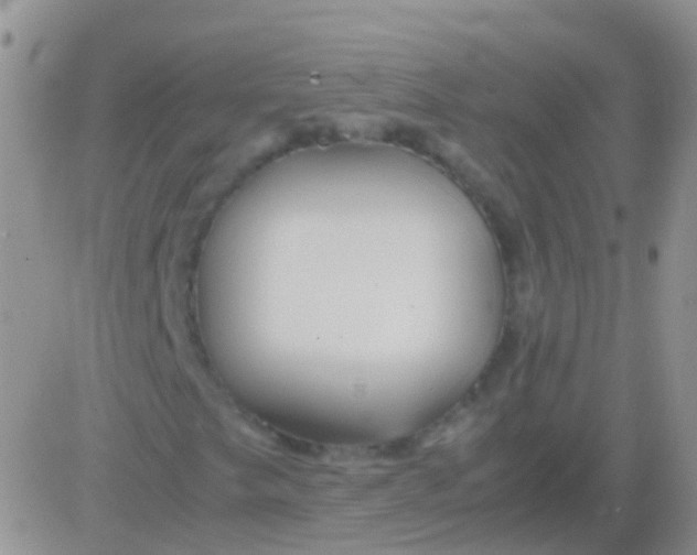 X0000083061249200702232012