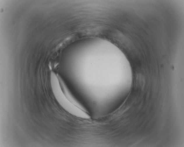 X0000083061250200702232012