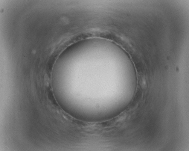 X0000083061253200702232012