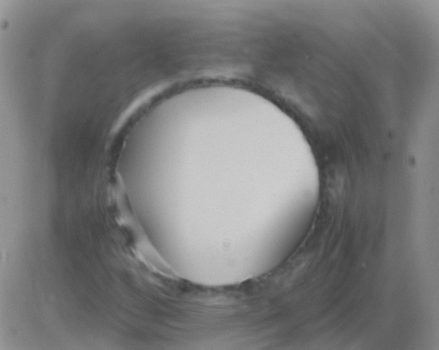 X0000083061256200702232012