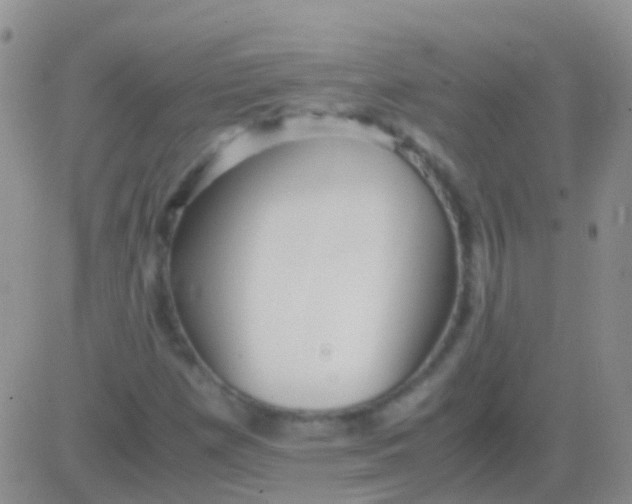 X0000083061257200702232012