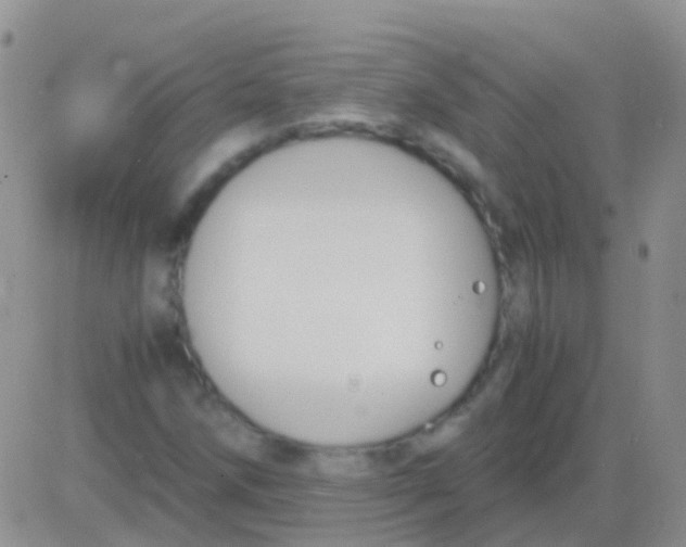 X0000083061258200702232012