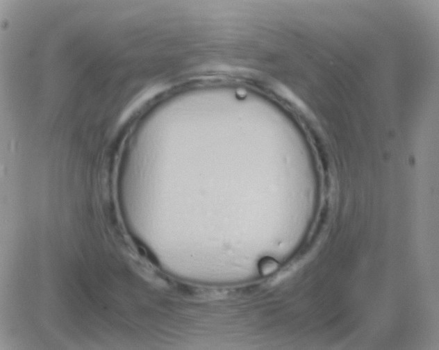 X0000083061259200702232012