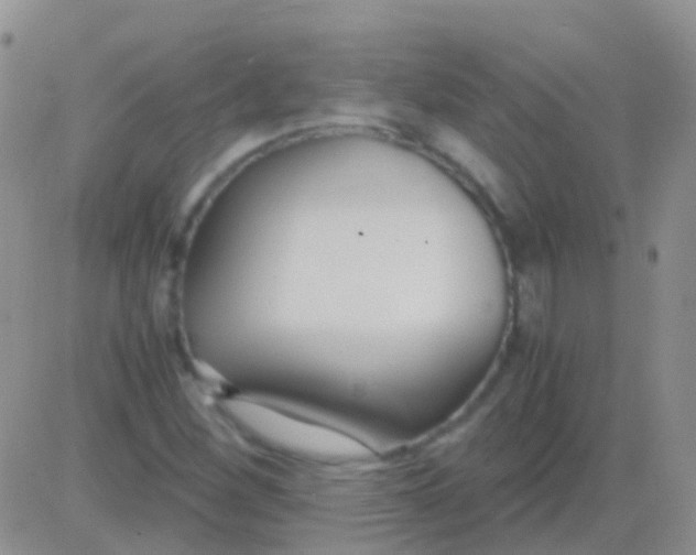 X0000083061260200702232012