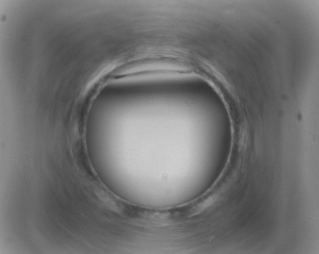 X0000083061261200702232012