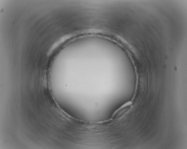 X0000083061262200702232012