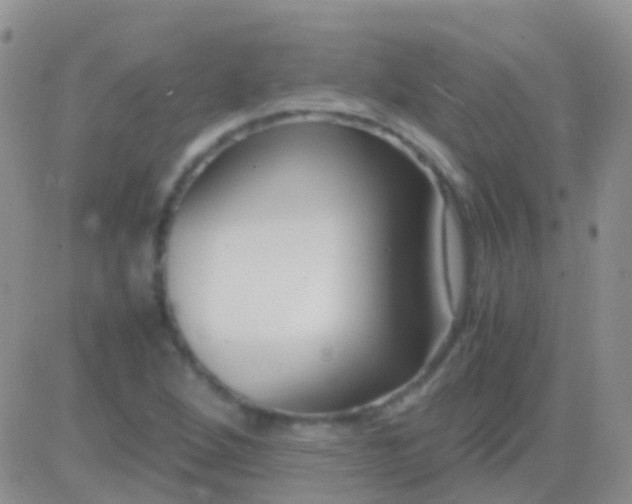 X0000083061264200702232012