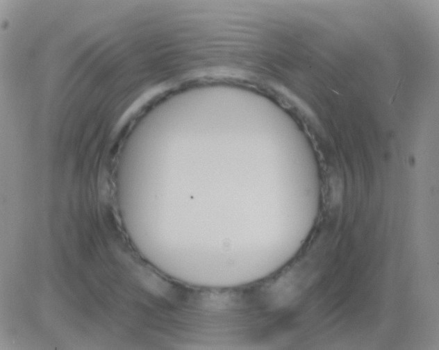 X0000083061266200702232012