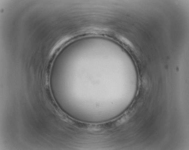 X0000083061267200702232012