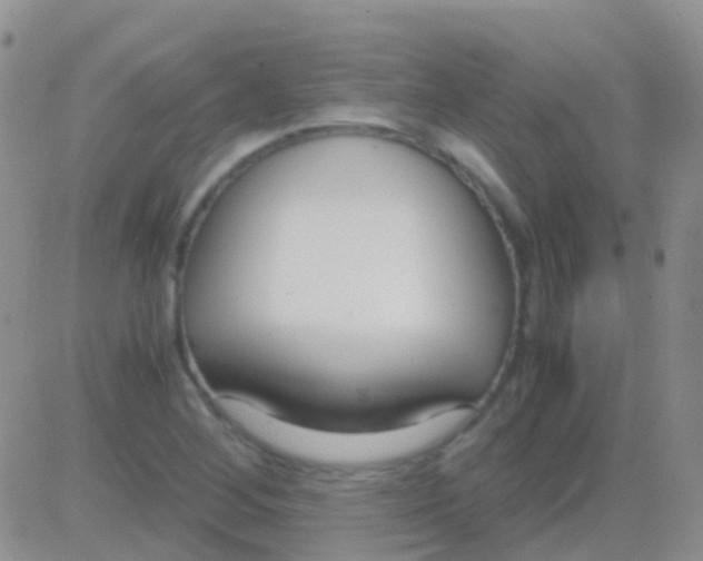 X0000083061268200702232012