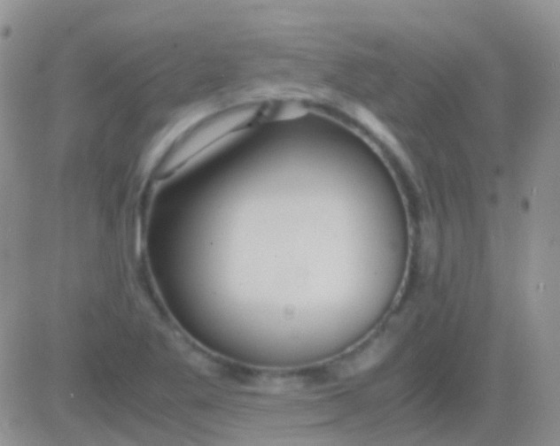 X0000083061269200702232012