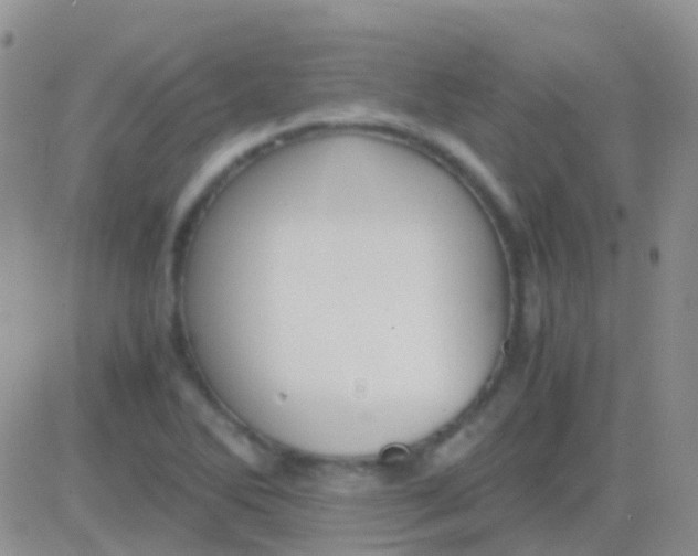 X0000083061270200702232012