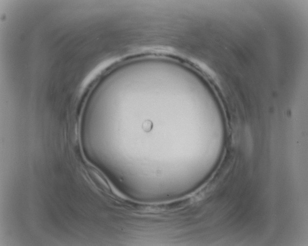 X0000083061271200702232012