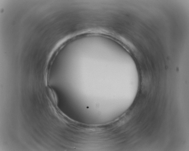 X0000083061272200702232012