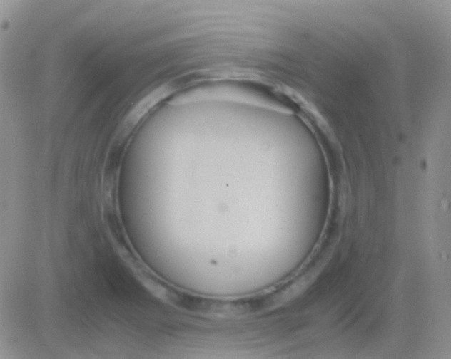 X0000083061273200702232012