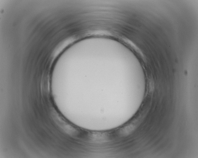 X0000083061274200702232012