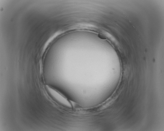 X0000083061275200702232012