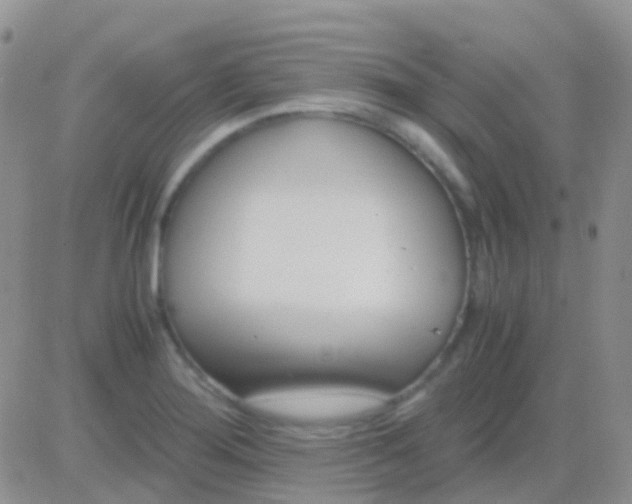 X0000083061276200702232012