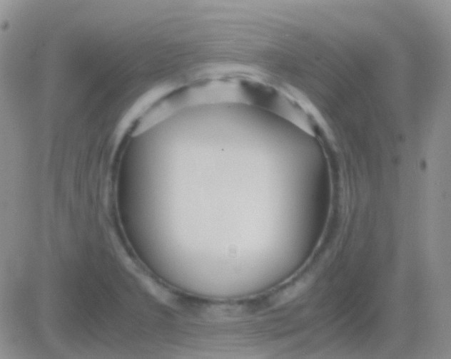 X0000083061277200702232012