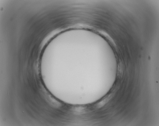 X0000083061278200702232012