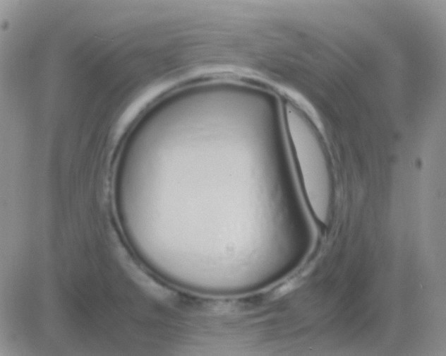 X0000083061279200702232012