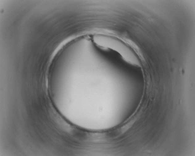 X0000083061280200702232012