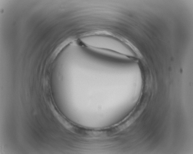 X0000083061281200702232012