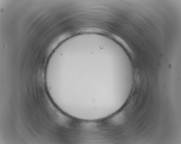 X0000083061282200702232012