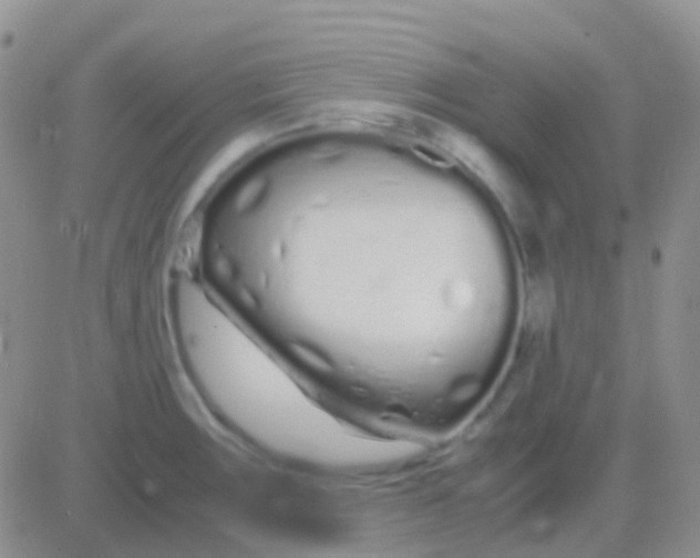 X0000083061283200702232012