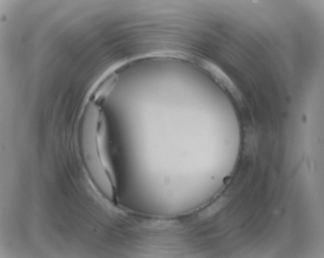 X0000083061284200702232012