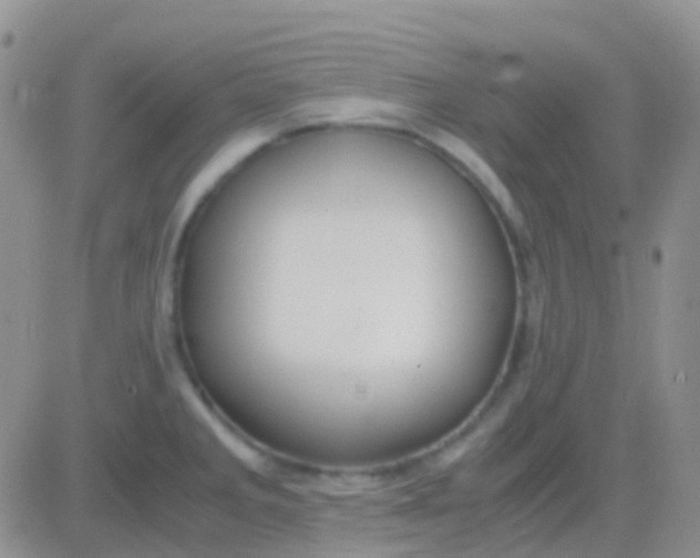 X0000083061285200702232012