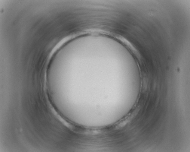 X0000083061286200702232012