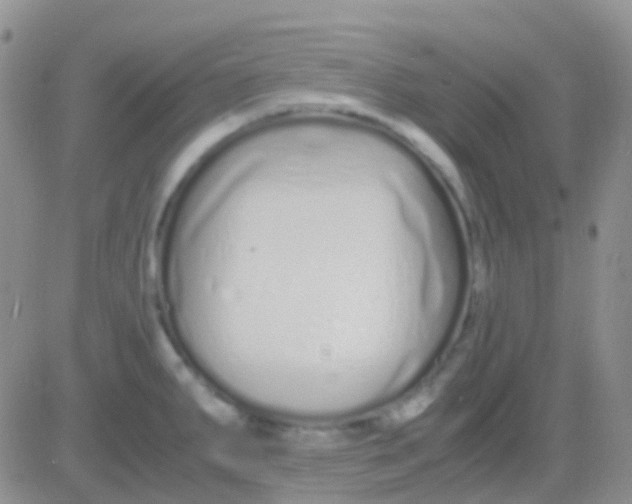 X0000083061287200702232012