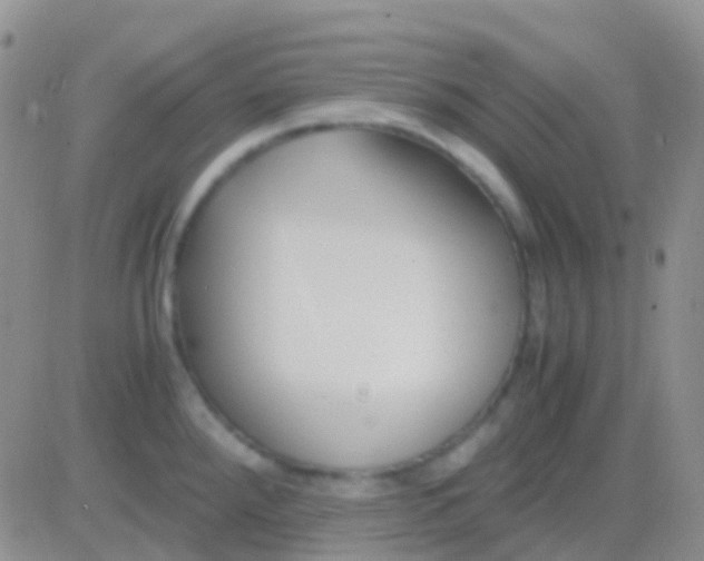 X0000083061288200702232012