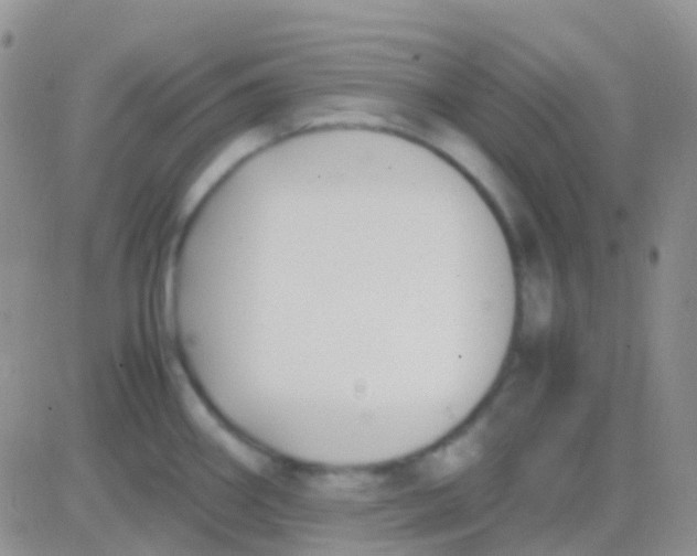 X0000083061290200702232011